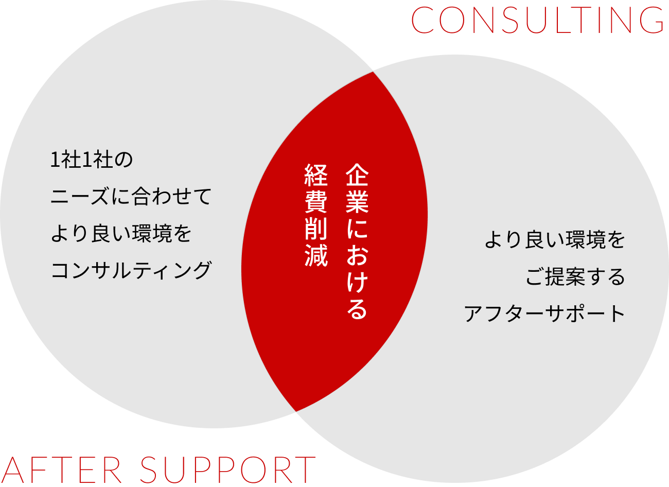 コンサルティングによって1社1社のニーズに合わせてより良い環境を構築し、その後のアフターサポートでその環境を維持・改善することにより、全体的な経費削減につながる